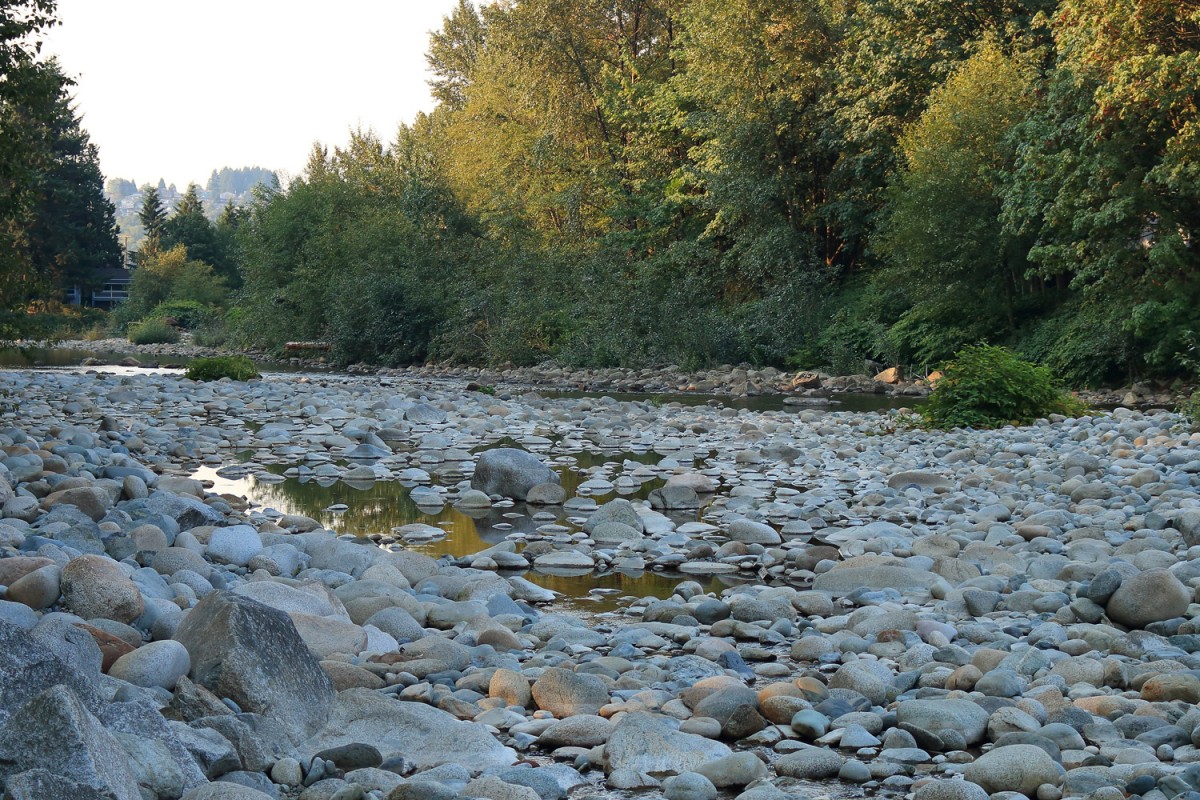 Low water on BC's Seymour River