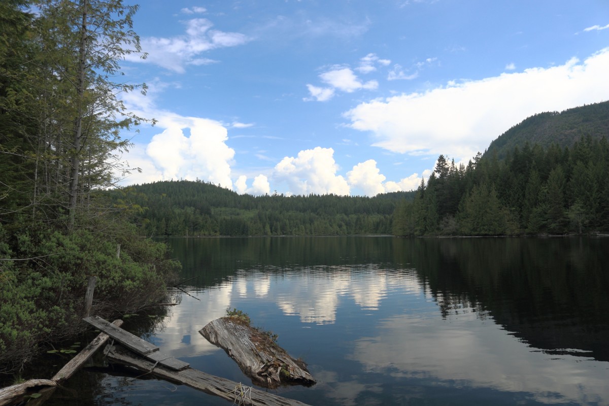 Klein Lake Logs