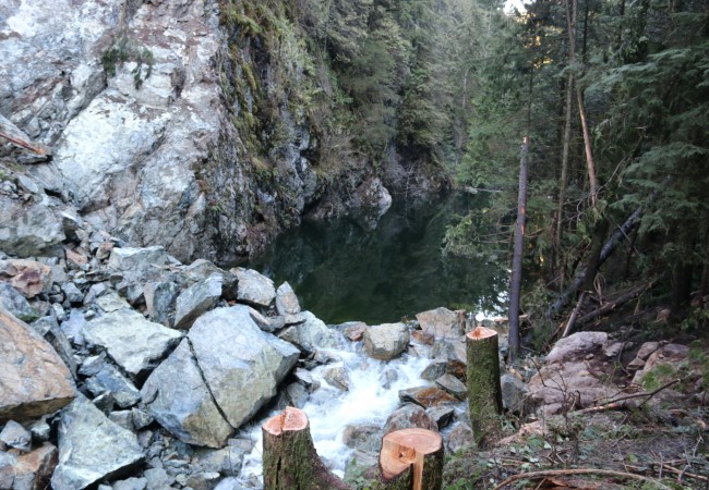 Last Rites for Seymour River Salmon and Steelhead?