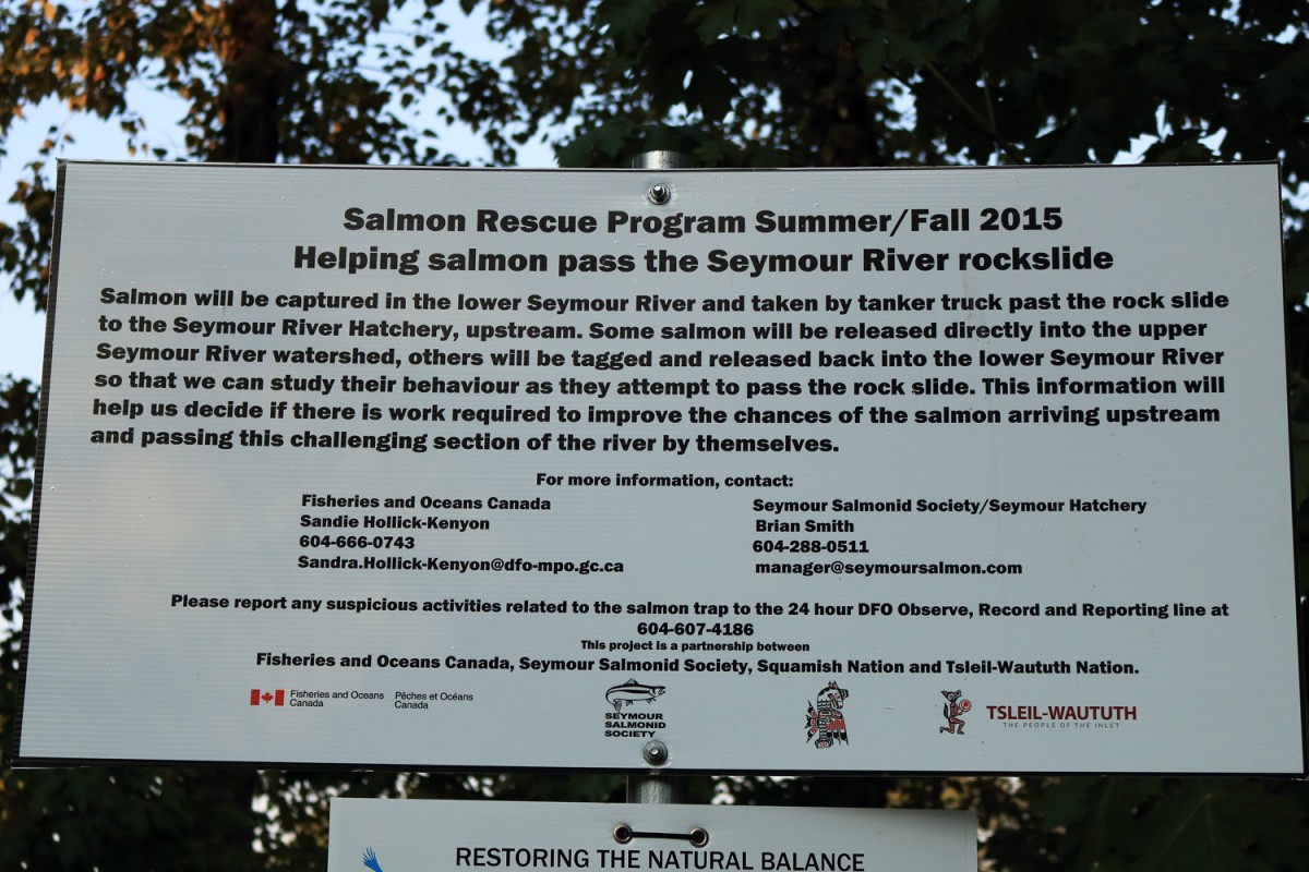 Fisheries and Oceans Canada sign on the Seymour River