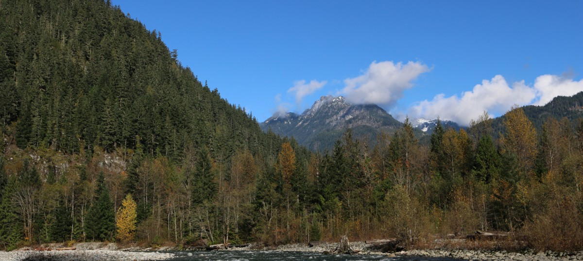 Fall on a BC trout stream