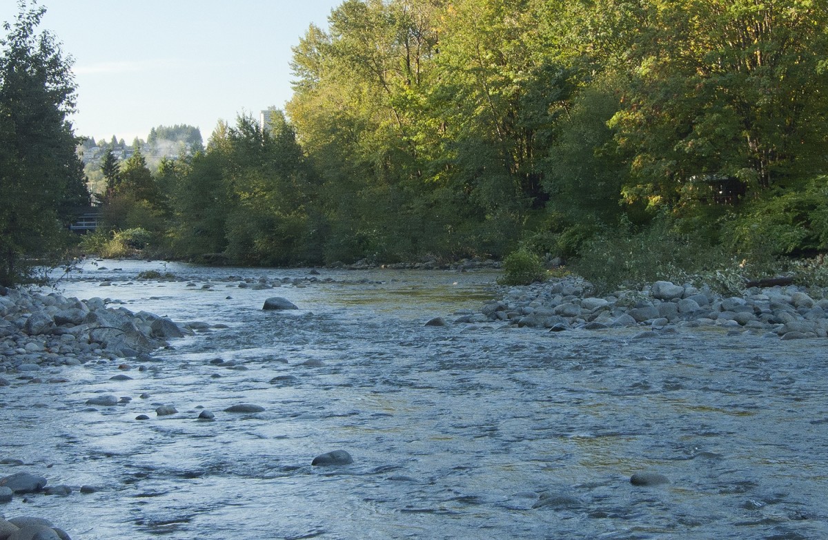 Seymour River North Vancouver BC