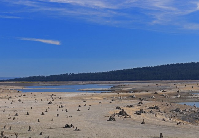 What We’re Working On: The Pacific Northwest Drought