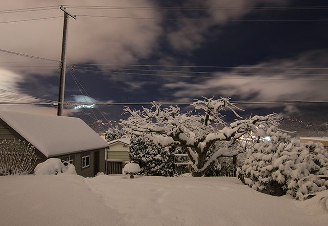 Vancouver Sets Records in Late February Storm