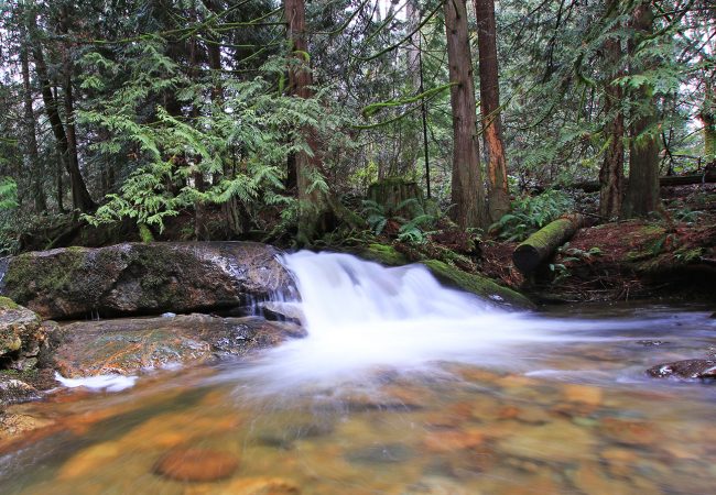 Hanging with Buddha on Halfmoon Creek