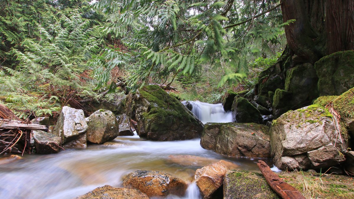 Halfmoon Creek BC