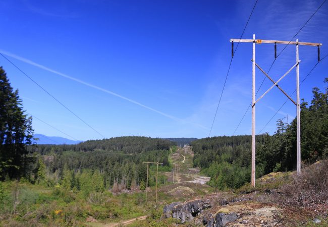 Under the Power Lines