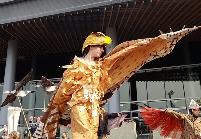 Vancouver’s Inaugural Bird Fest Takes Flight