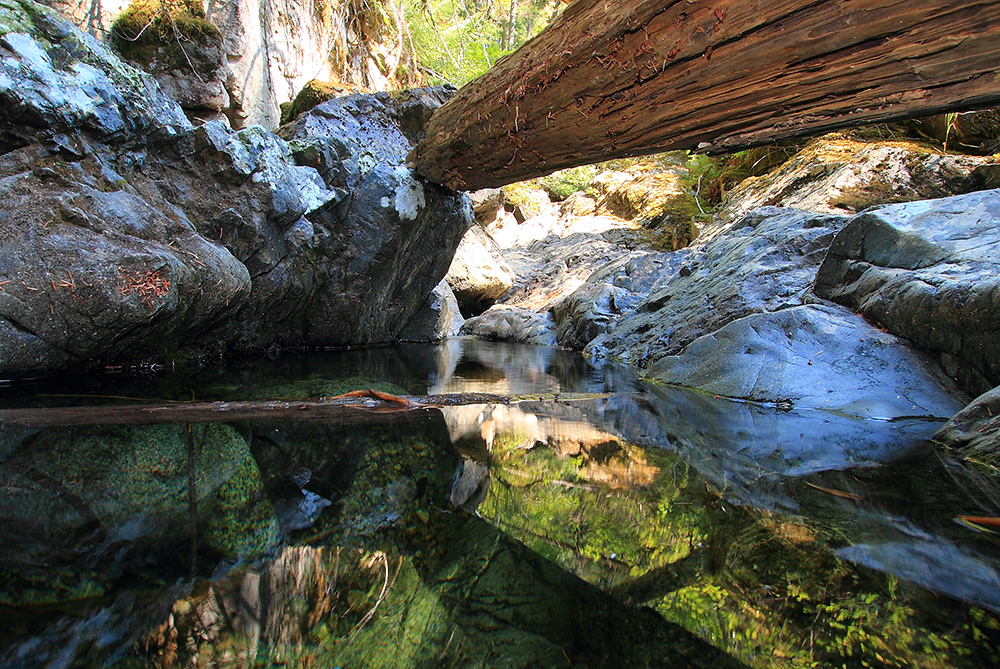 Homesite Creek Sunshine Coast