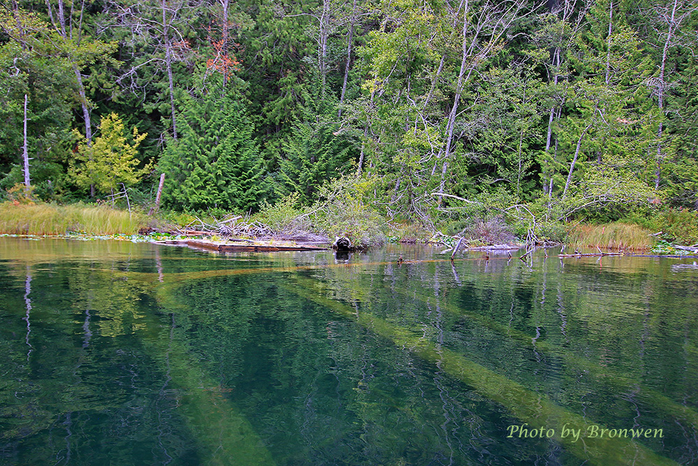 Sakinaw Lake BC